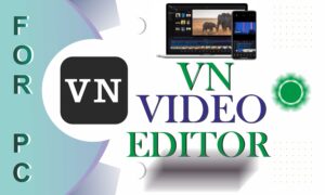 Vn video editor for pc 