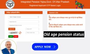 Old age pension status